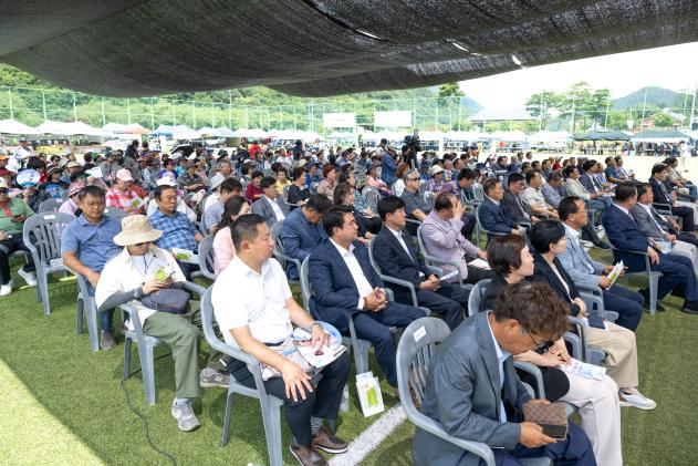 제24회 월악산 송계양파축제 의 사진