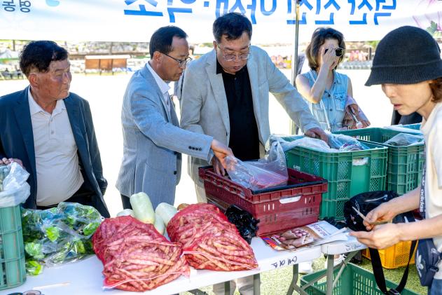 제24회 월악산 송계양파축제 의 사진