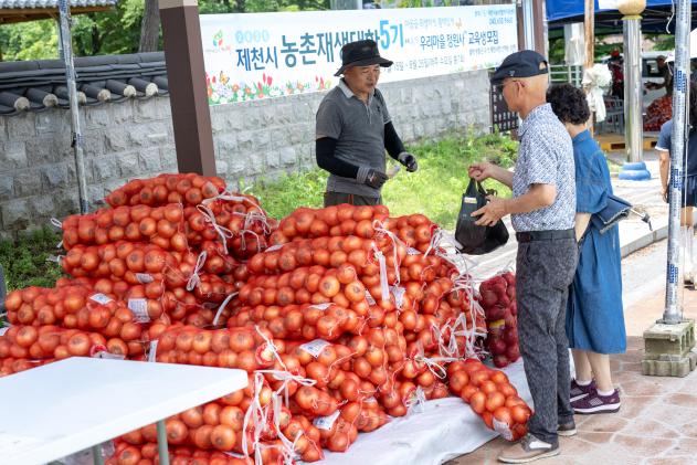 제24회 월악산 송계양파축제 의 사진