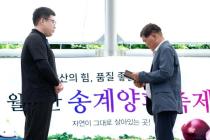 제24회 월악산 송계양파축제 의 사진