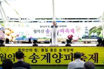 제24회 월악산 송계양파축제 의 사진