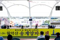 제24회 월악산 송계양파축제 의 사진