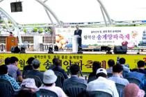 제24회 월악산 송계양파축제 의 사진