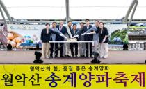 제24회 월악산 송계양파축제 의 사진