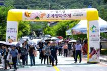 제24회 월악산 송계양파축제 의 사진