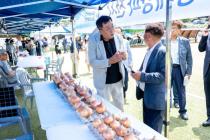 제24회 월악산 송계양파축제 의 사진