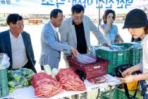 제24회 월악산 송계양파축제 의 사진