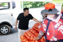 제24회 월악산 송계양파축제 의 사진